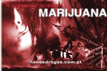 The Truth About marijuana Drugs