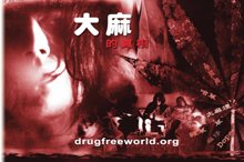 The Truth About marijuana Drugs