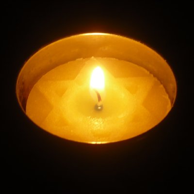 Remembering the Holocaust, and a Remarkable Story of Survival