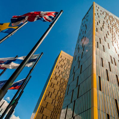 The EU Court’s Decision—What Equality?