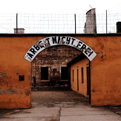 “The Will to Create Is the Same as the Will to Live”—Achieving Immortality Through Holocaust Art