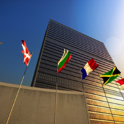 The UN Deserves Better Than Arielle Silverstein